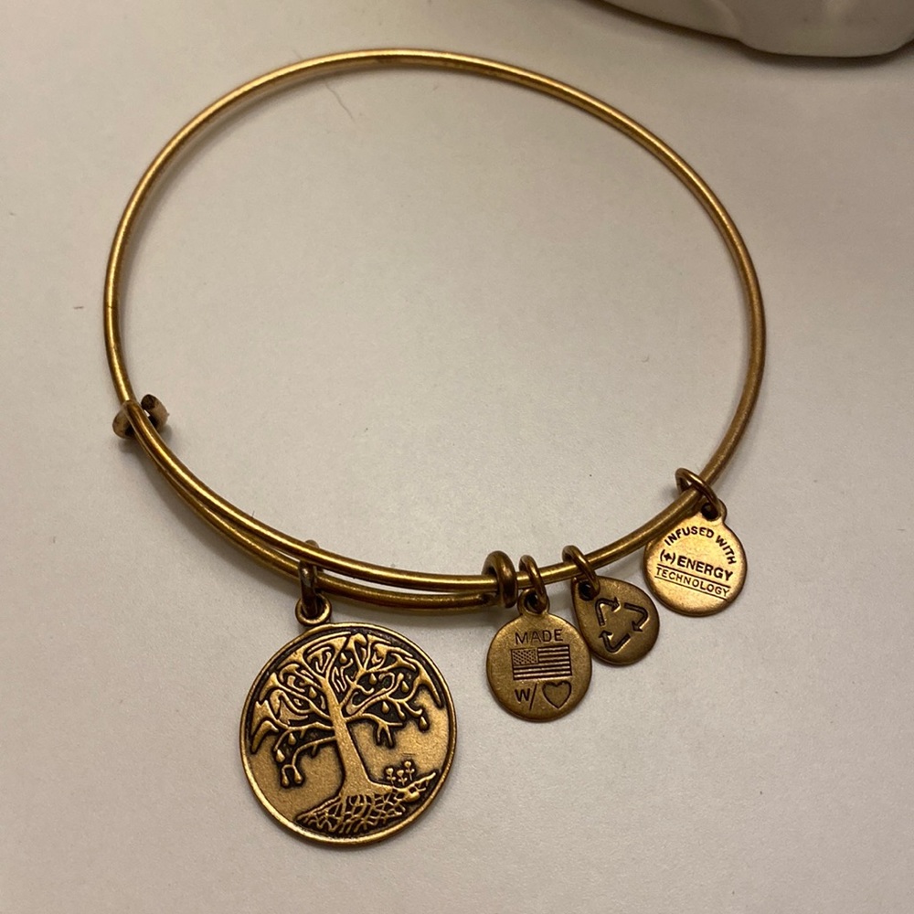 Alex and Ani Tree of Life Bracelet